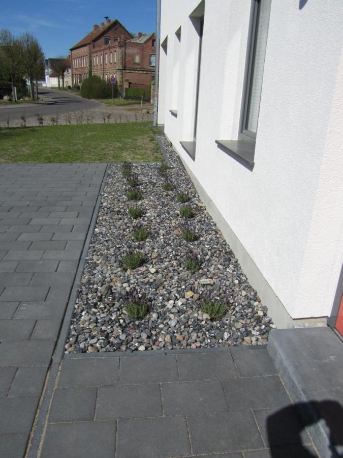 Reusenhaus Nord Villa Breege Exterior photo